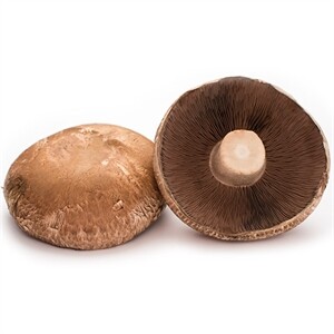 Portabella Fresh