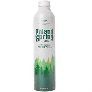 Poland Spring Water Aluminum Bottle, 25 Oz