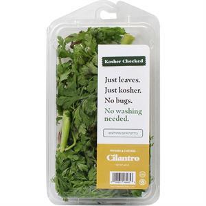 Fresh Checked Cilantro, 4 Oz