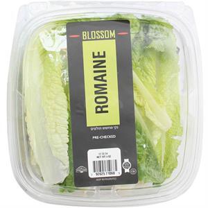 Blossom Whole Leaf Lettuce, 6 Oz