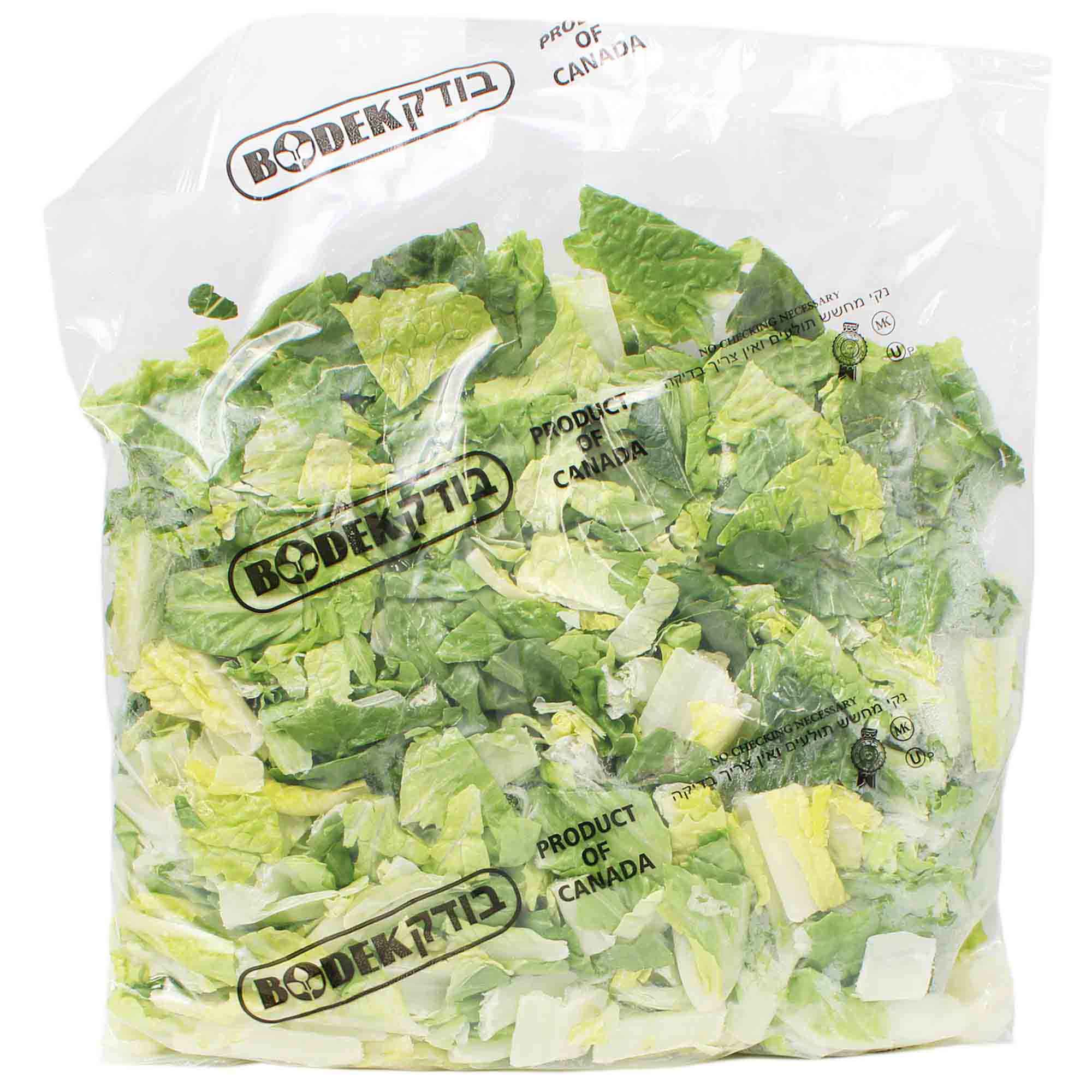 Bodek Romaine Shredded Lettuce, 24 Oz