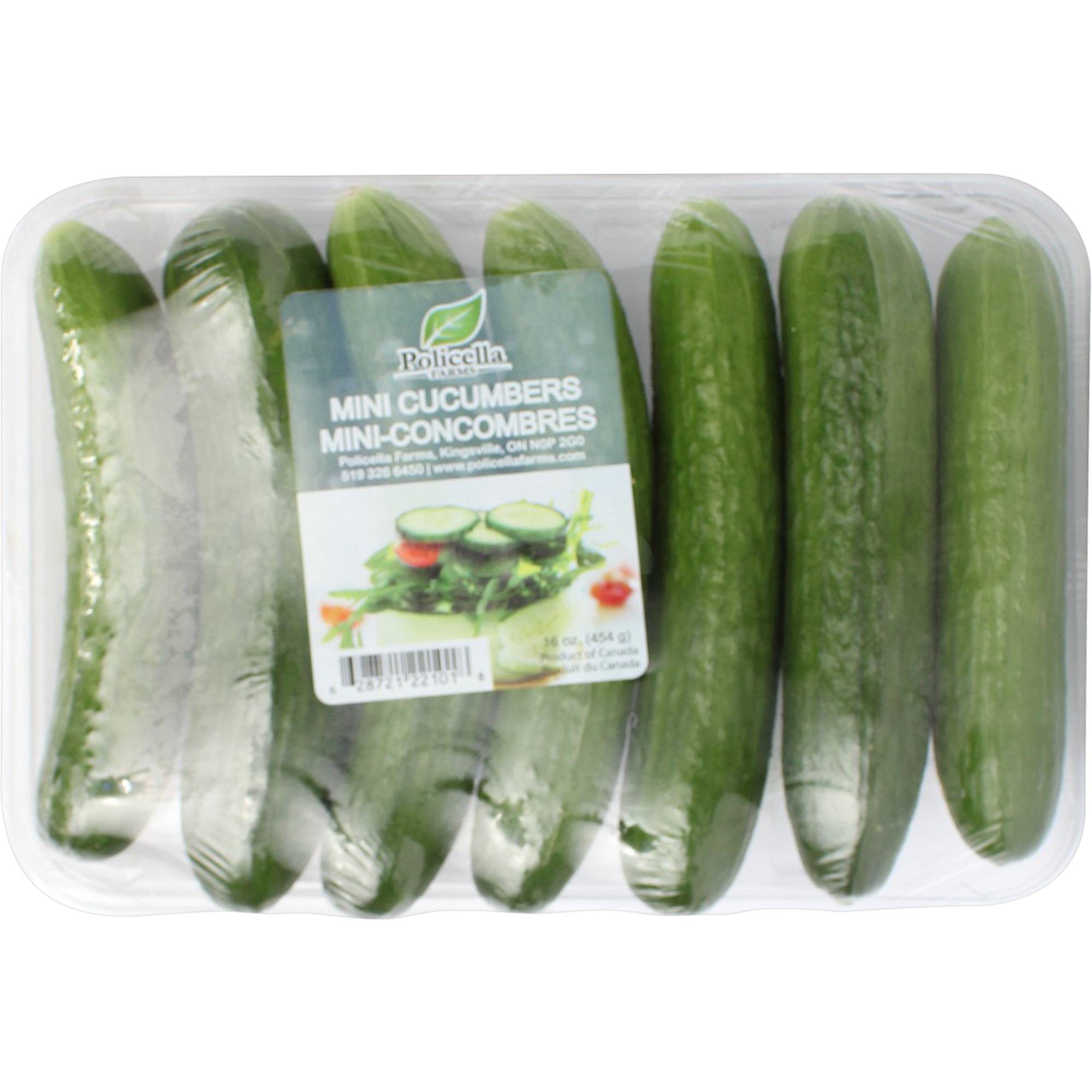 Natural Farms Mini Persian Cucumbers, 16 Oz