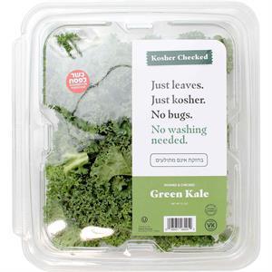Fresh Checked Green Kale, 4 Oz