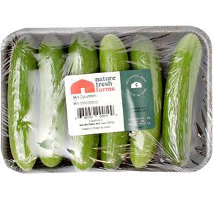 Mucci Mini Persian Cucumber tray